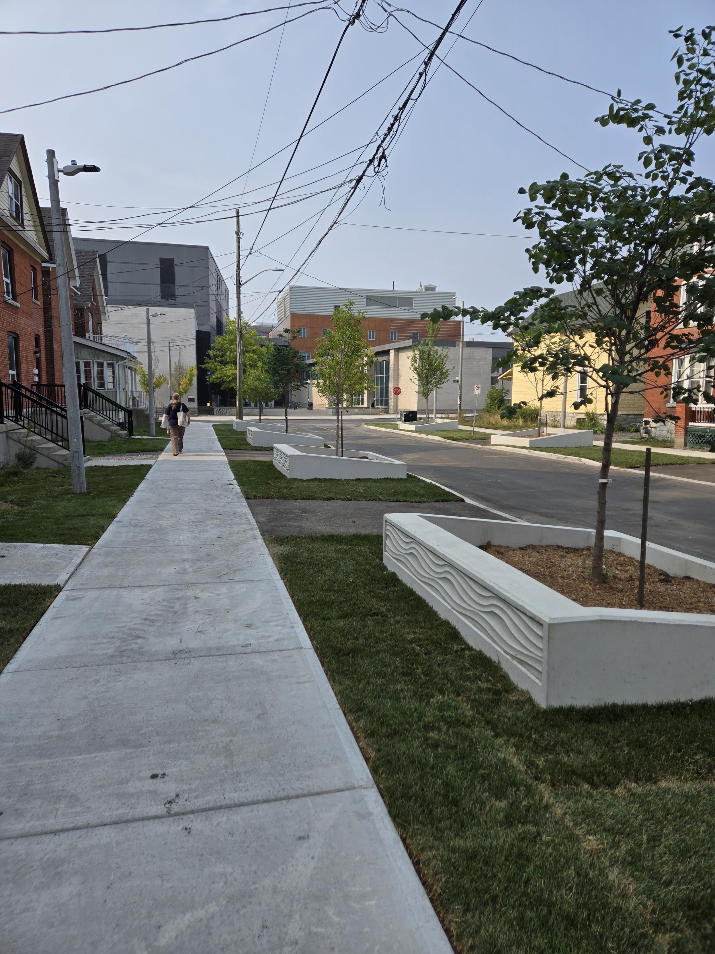 The newly built sidewalk and tree beds.