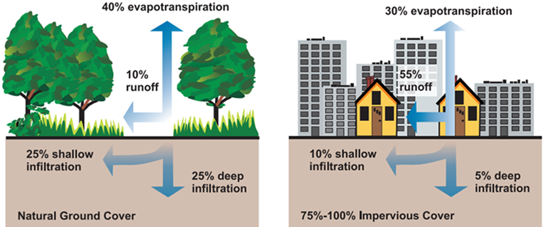 Illustration of natural versus urban water evaporation and infiltration