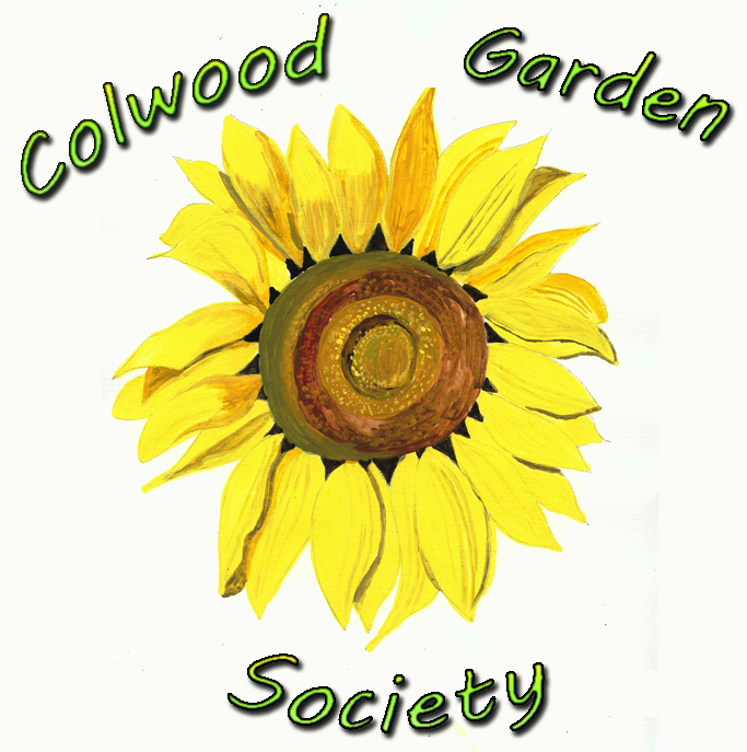 Team member, Derek de Candole