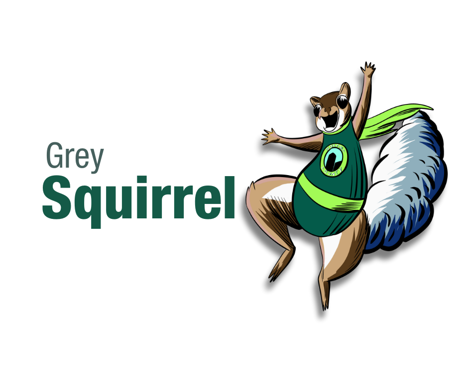 Ward 5: The Grey Squirrel