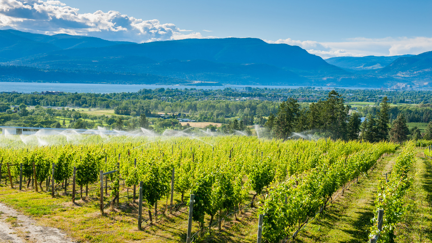 Our Kelowna as we grow Get Involved Kelowna