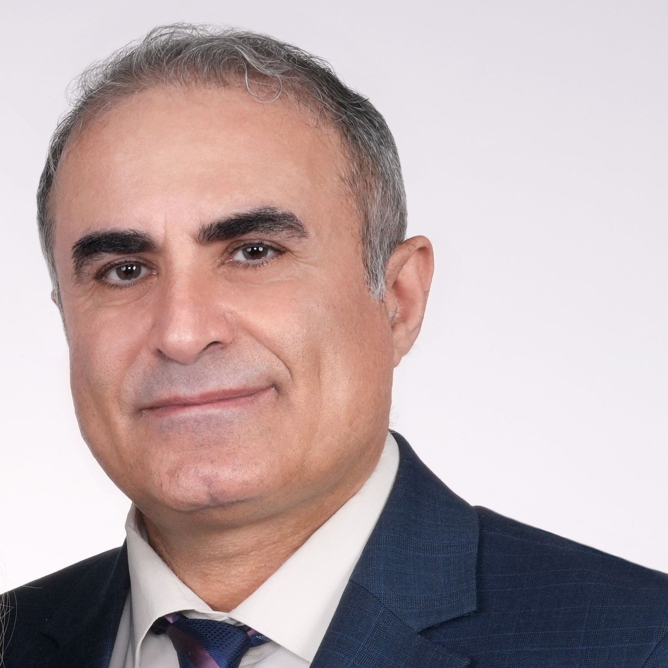 Team member, Pezhman Imani, P.Eng , PMP