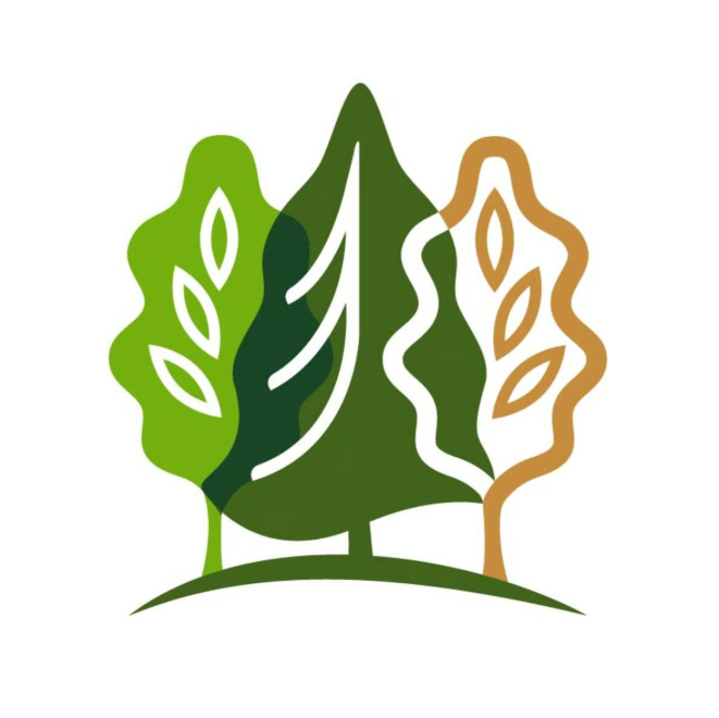 Team member, Little Forests Kingston