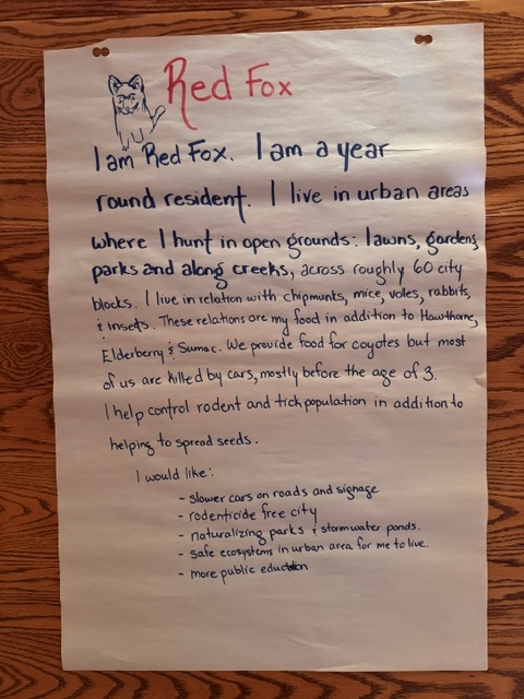 A description of a red fox and what the species needs from a biodiversity plan.