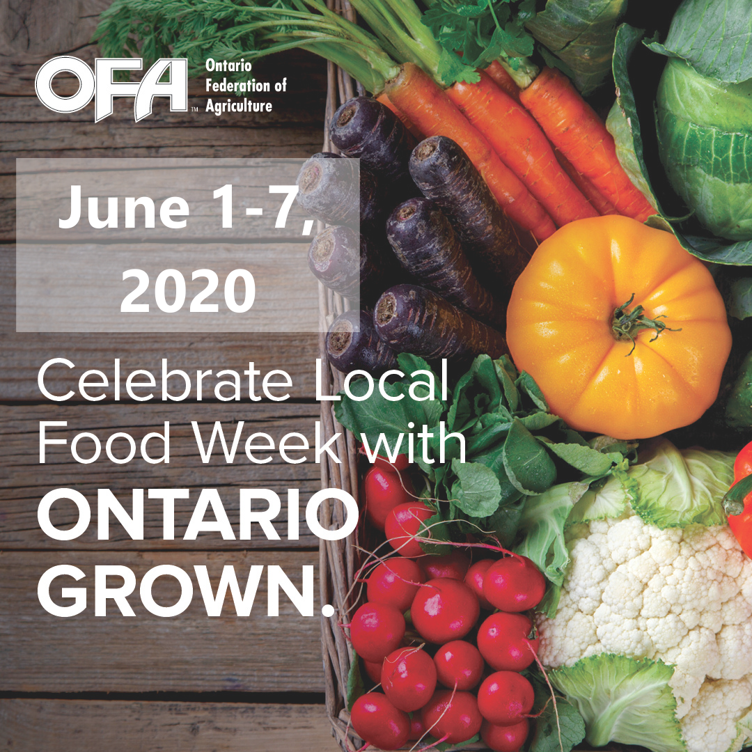 Where do you buy local food in Dufferin County? Local Food Week