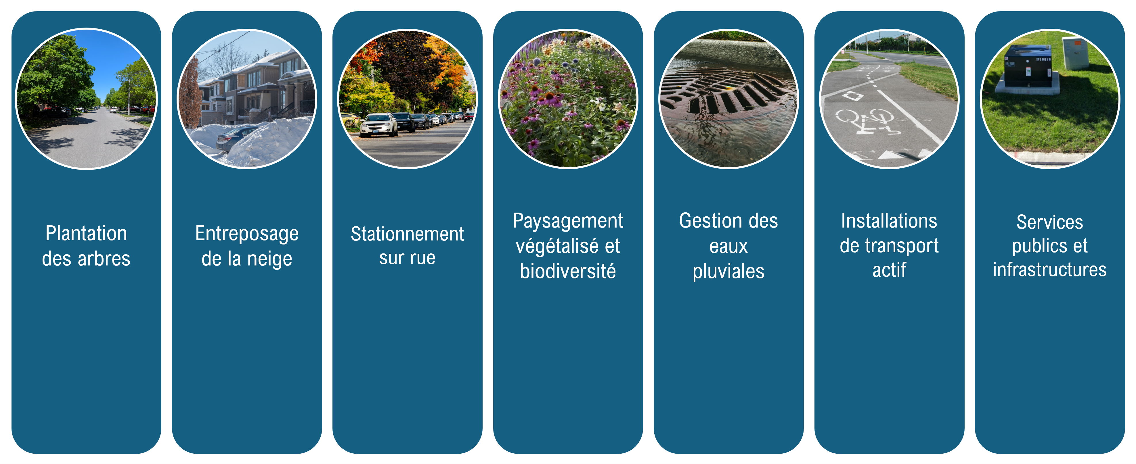 Ce graphique montre les fonctions d’une emprise municipale, soit la plantation d’arbres, l’entreposage de la neige, le stationnement sur rue, l’aménagement paysager végétal et la biodiversité, la gestion des eaux pluviales, les installations de transport actif et les services et infrastructures publics. 