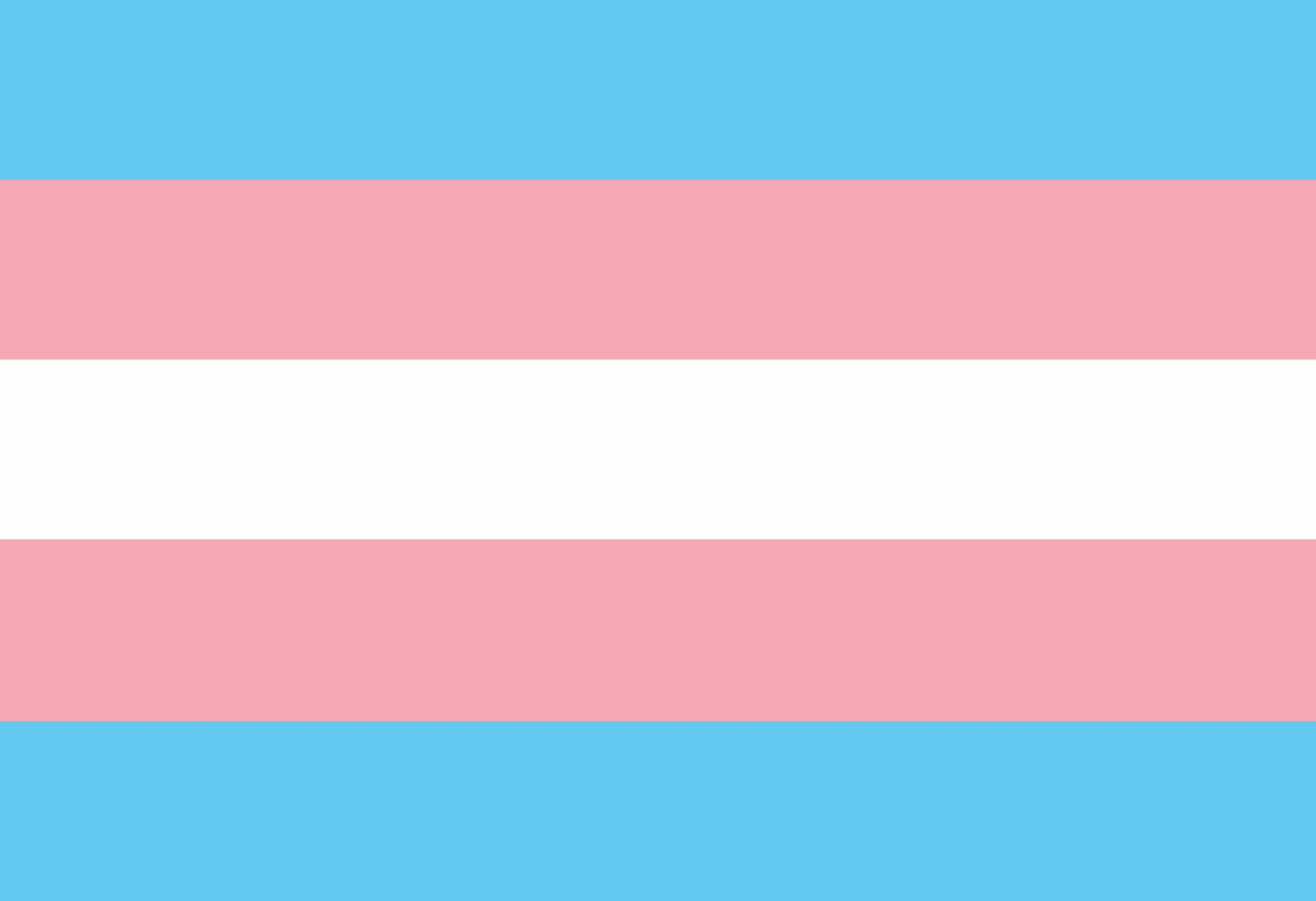An image of the transgender pride flag.