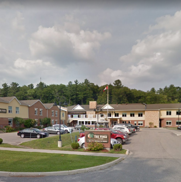 October 19, 2024 Maple and Birch Outbreak & Oak Enhanced Surveillance