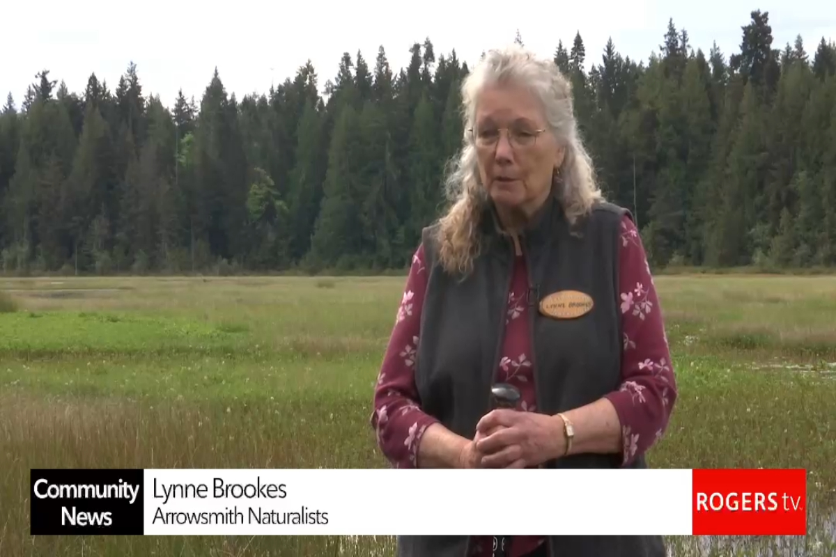 Rogers TV Story on Hamilton Marsh