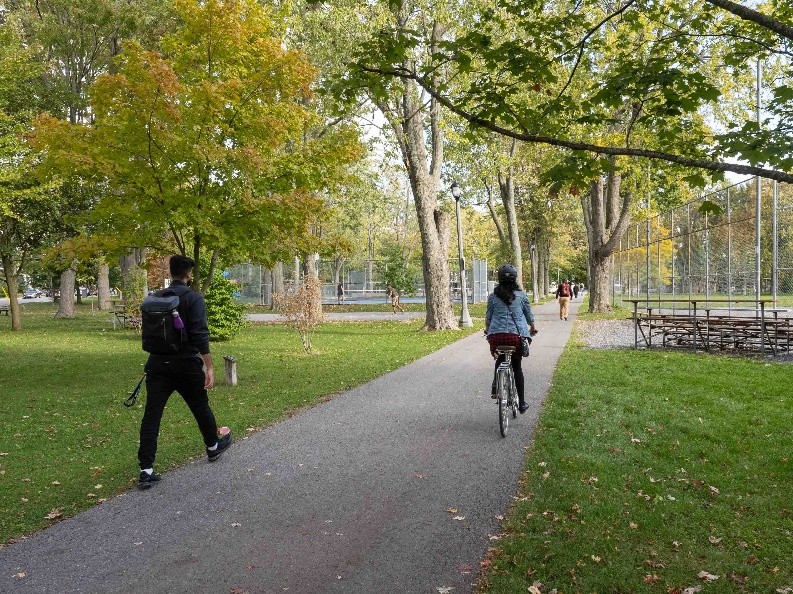An off-road multi-use pathway or off-road trail is shown.