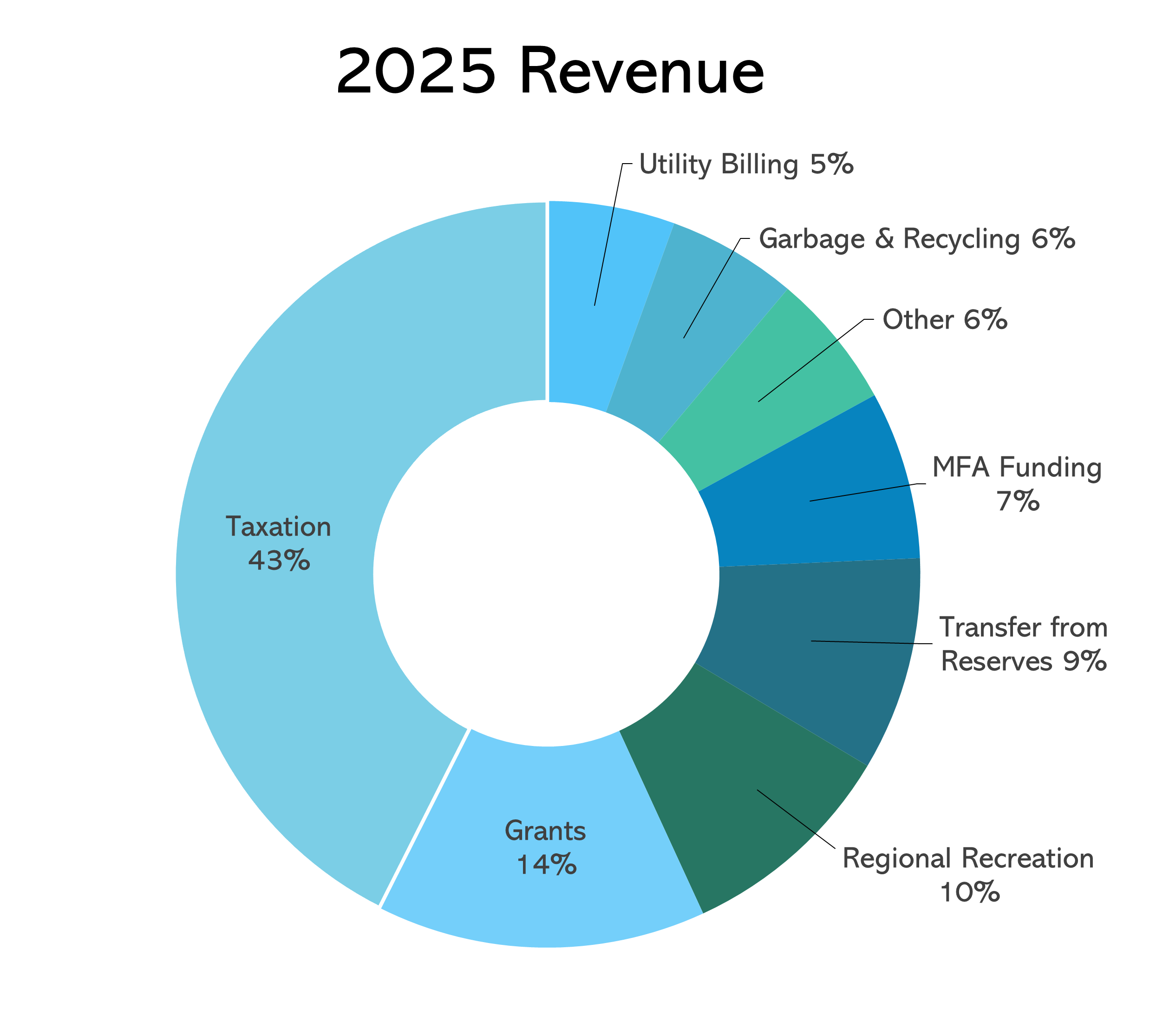 2025 Revenue