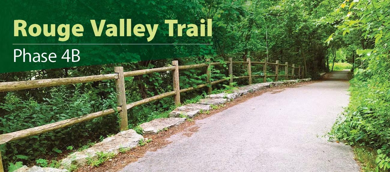 Trail surrounded by trees. 