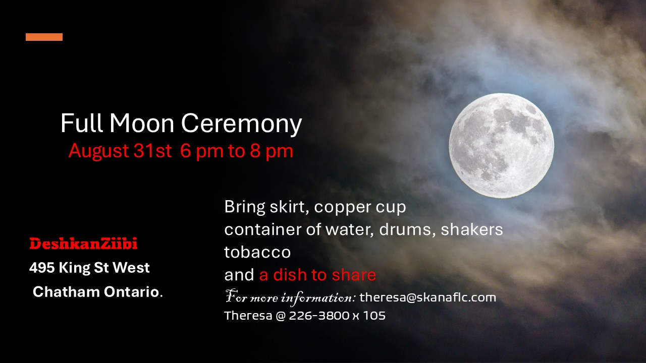 Image of a full moon against a night sky. All text is below.