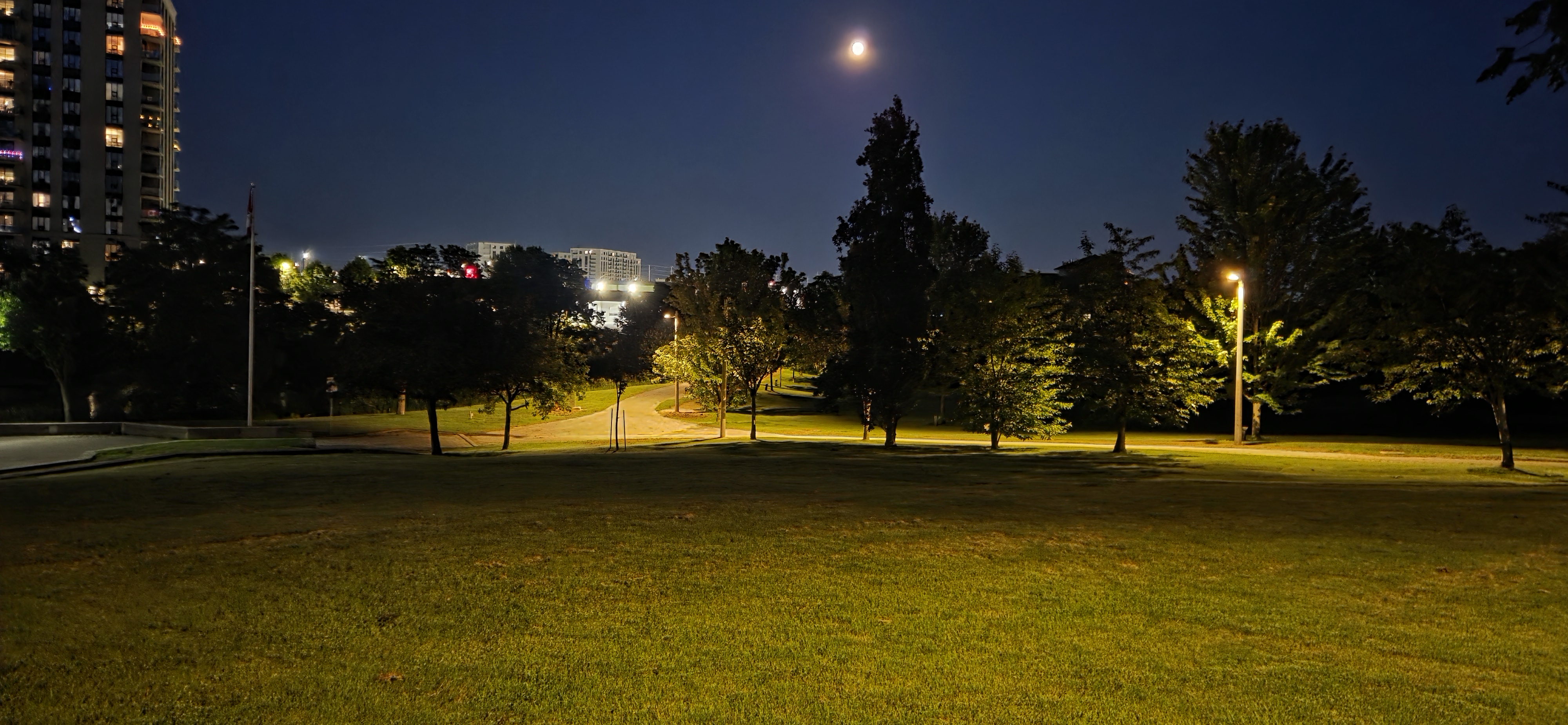 Pathway lighting in a park in the evening.