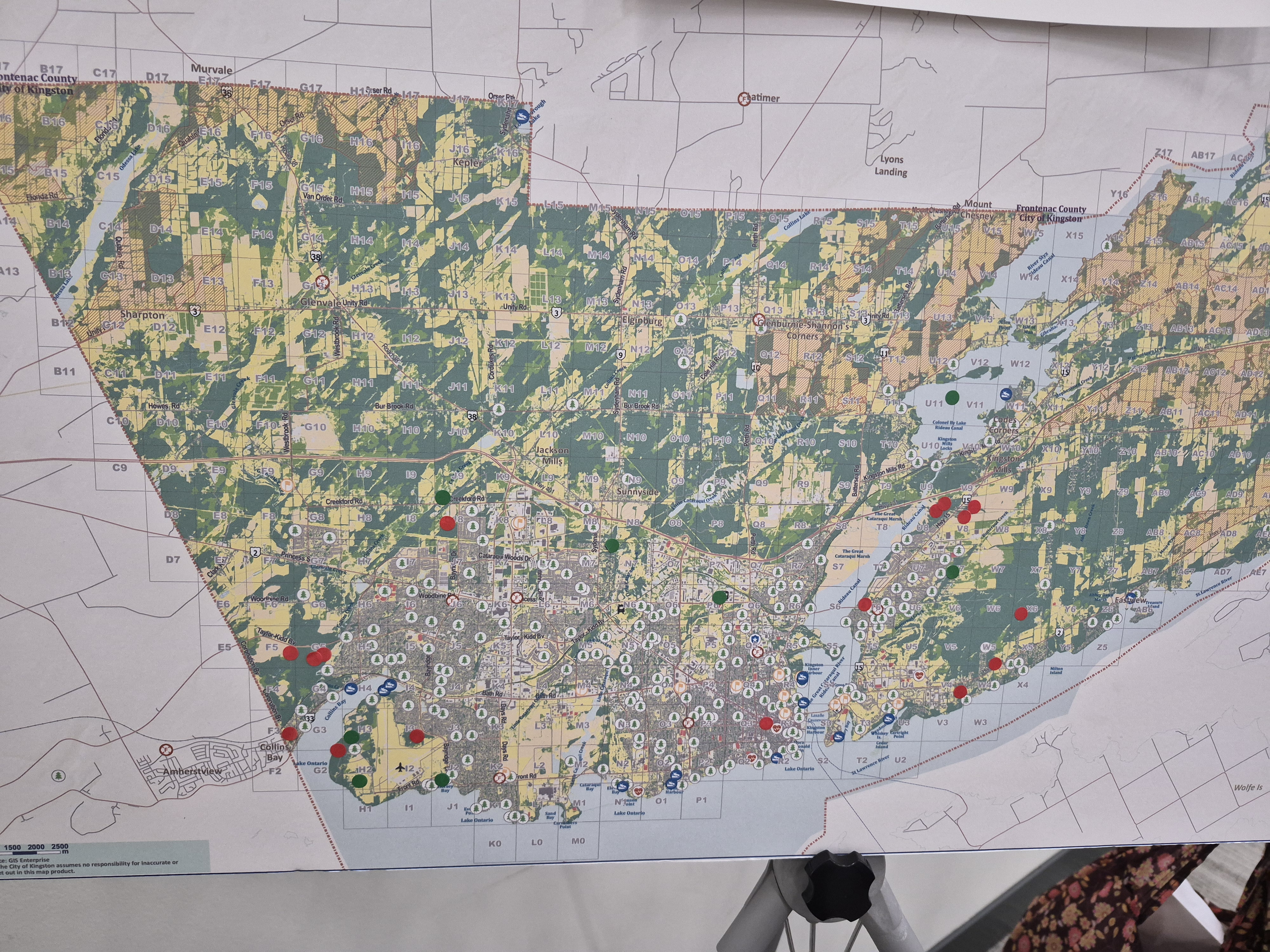 A printed map of Kingston with red and green stickers placed in various locations as biodiversity indicators.