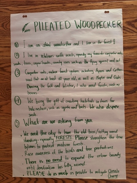 A description of the pileated woodpecker and its contribution to biodiversity.