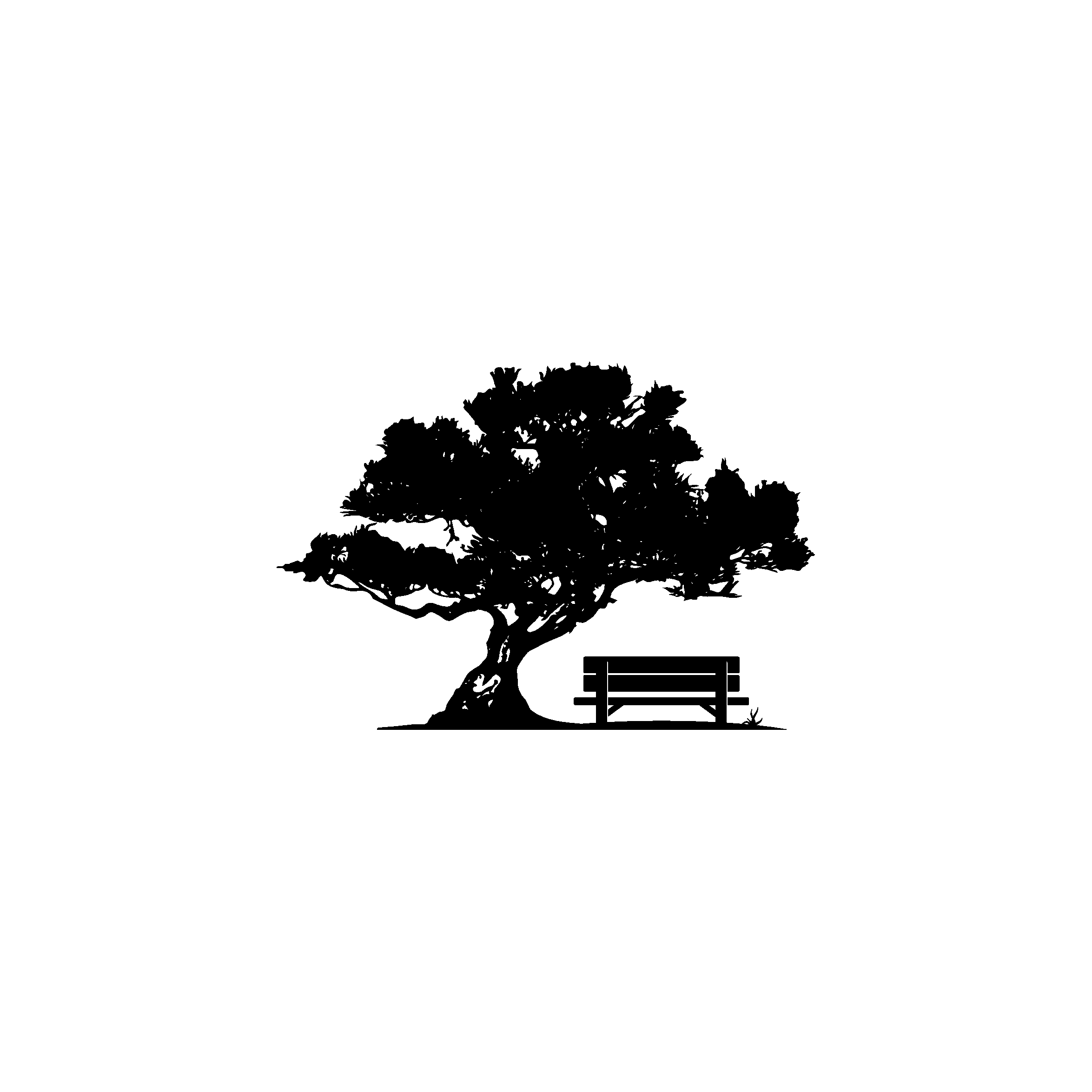 Team member, Deb Tardiff