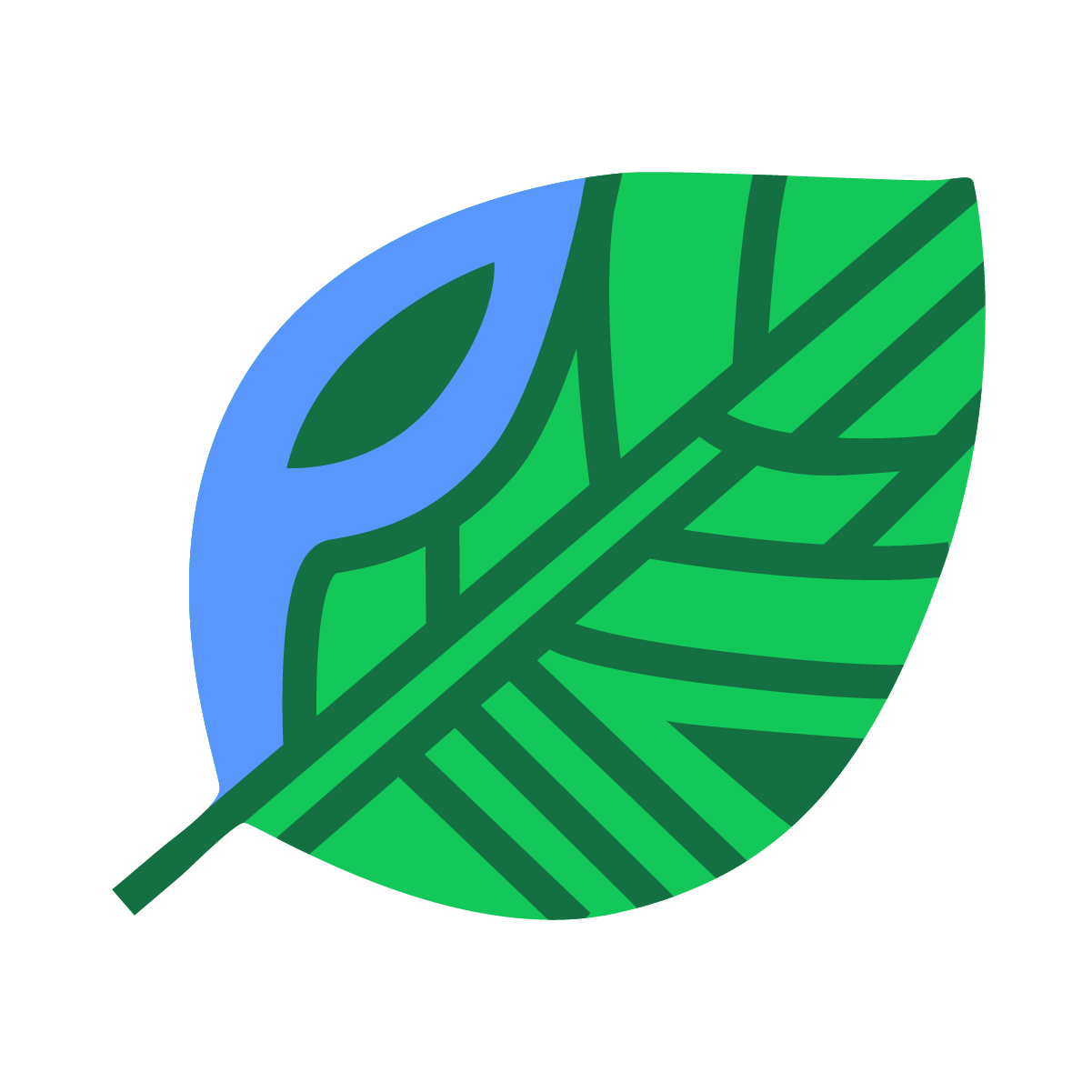 Team member, Community-Led Greening Initiatives and Gardening Program