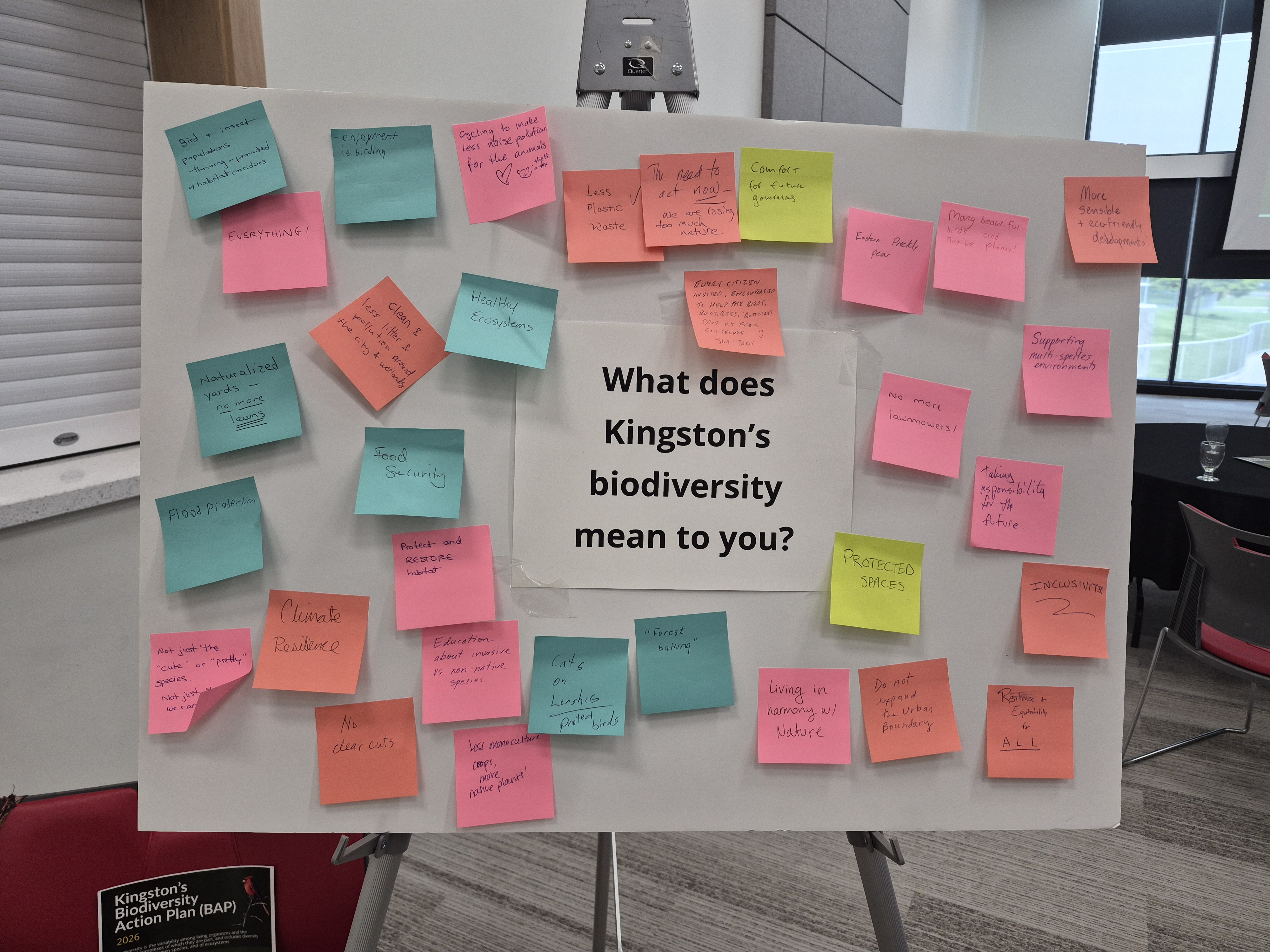 A large board covered in sticky notes with responses to the question in the centre: What does Kingston's biodiversity mean to you?