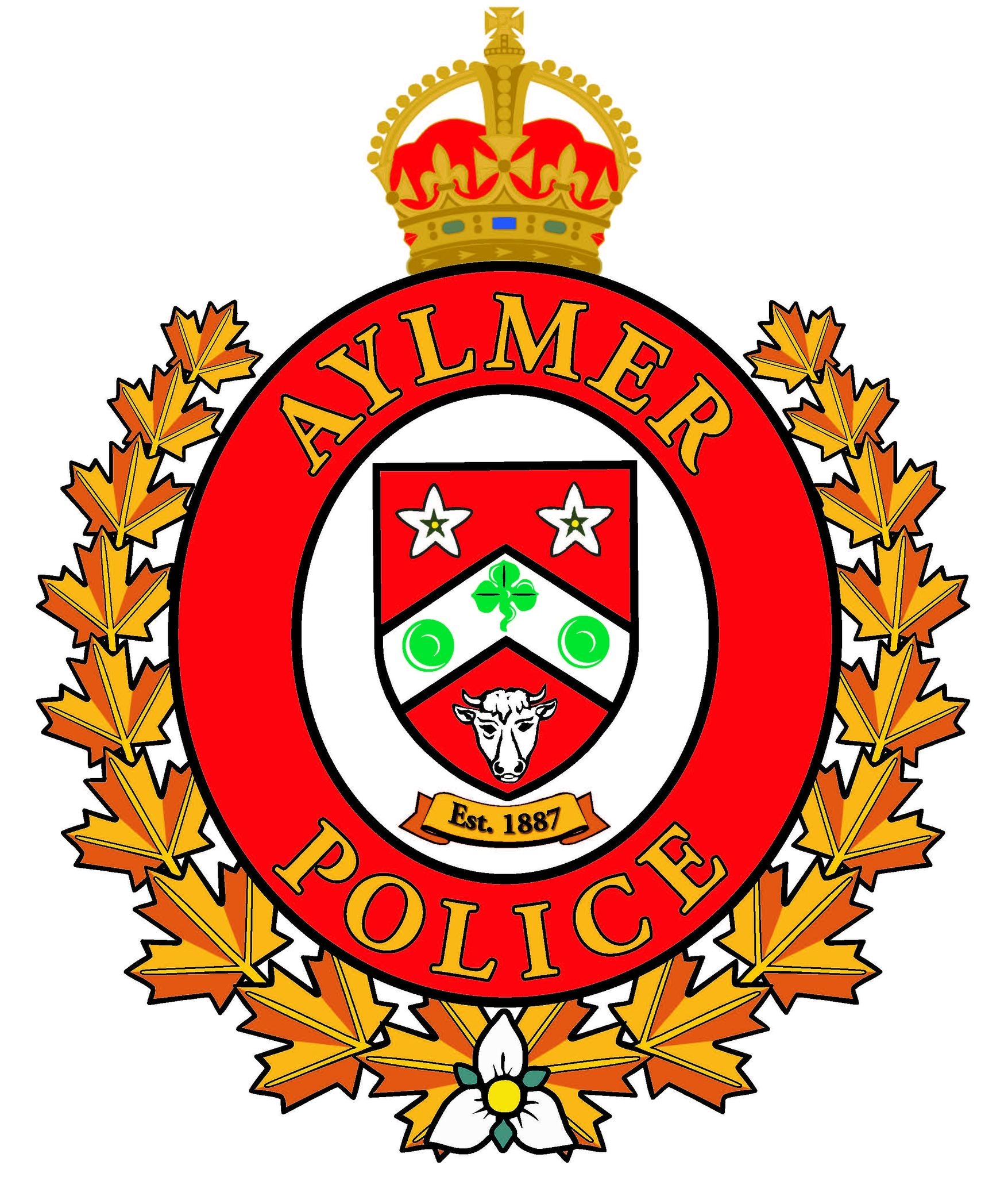 Team member, Kyle Johnstone