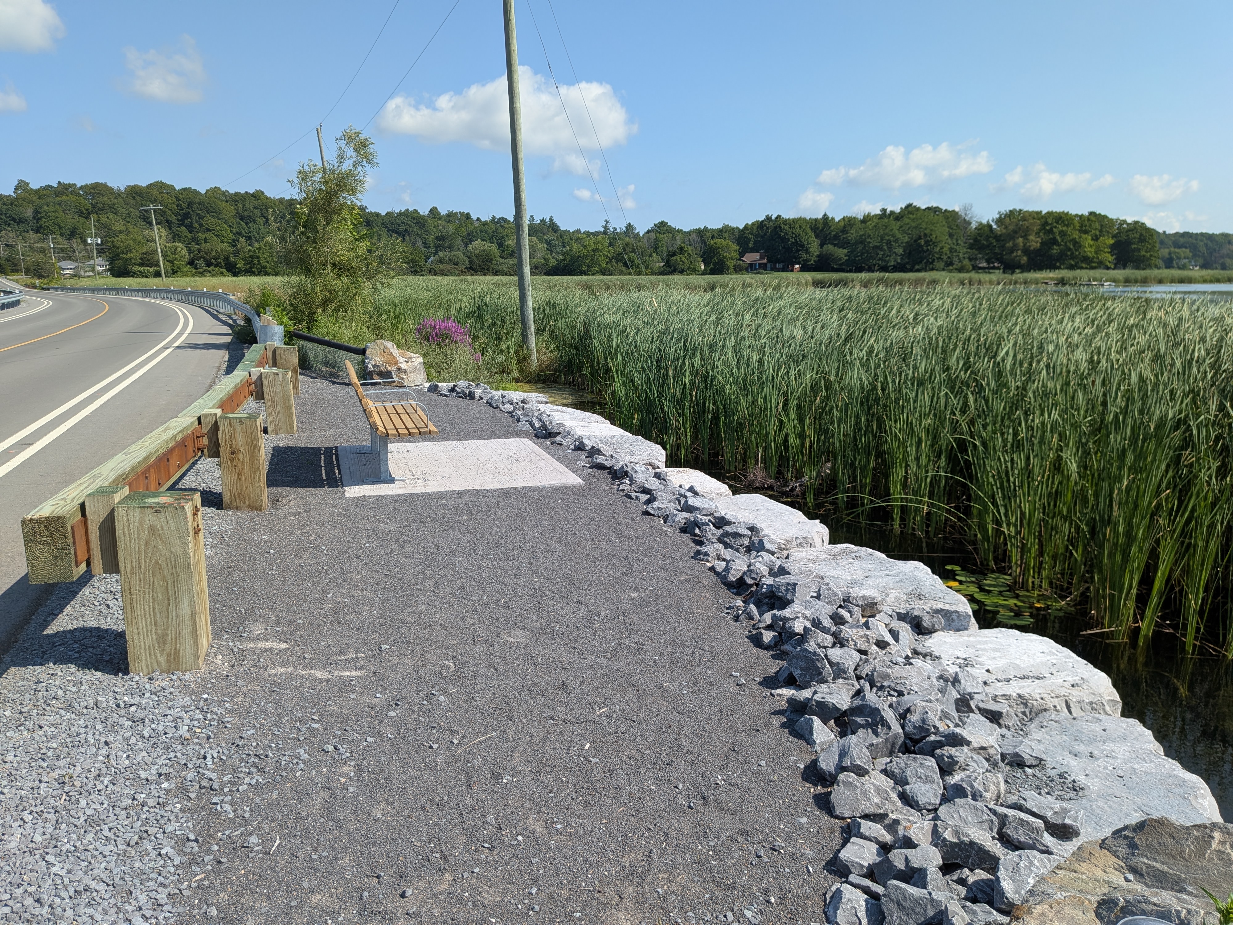 A bench overlooking a marsh, with rocks built up along the bank of the marsh on Abbey Dawn Road. 