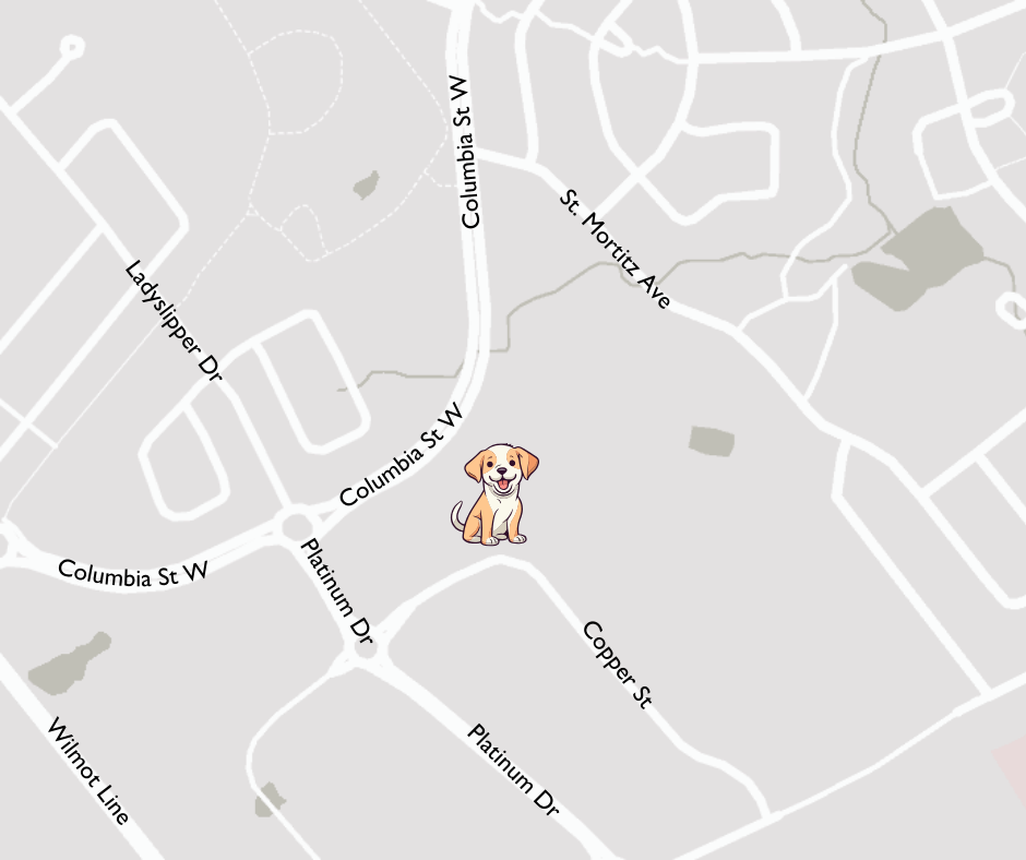 Copper Street leashfree dog park EngageWR