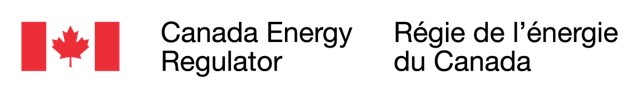 CER Dialogue