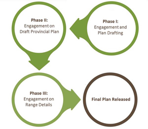 Chart showing three phases of Caribou Range Planning Engagement
