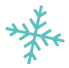 Snowflake Icon