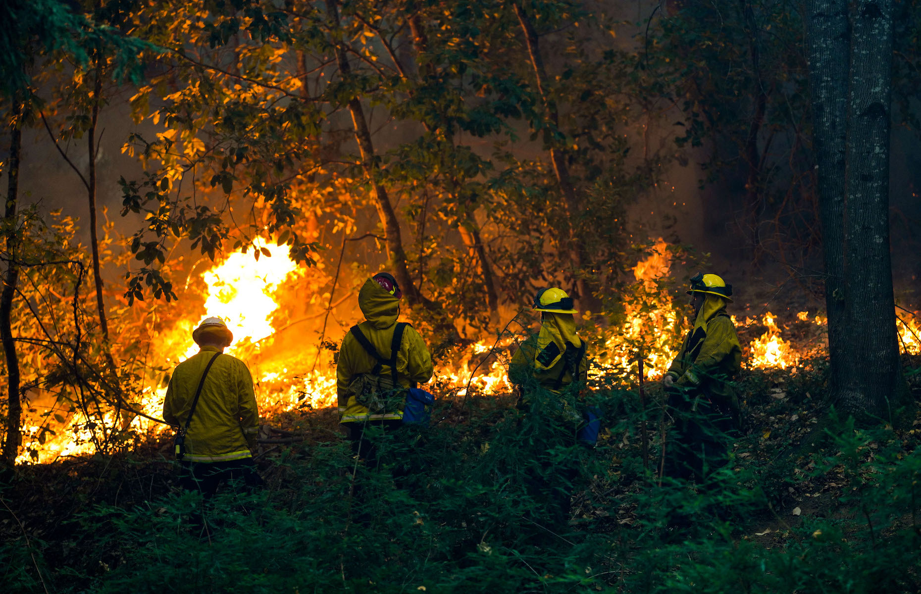 The most destructive fires in history - Espresso Mag
