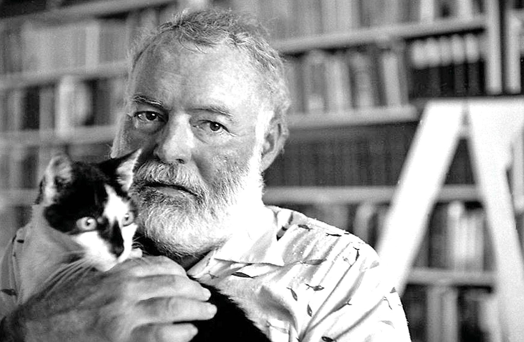 Famous Hemingway 10 famous writers’ cats - Espresso Mag