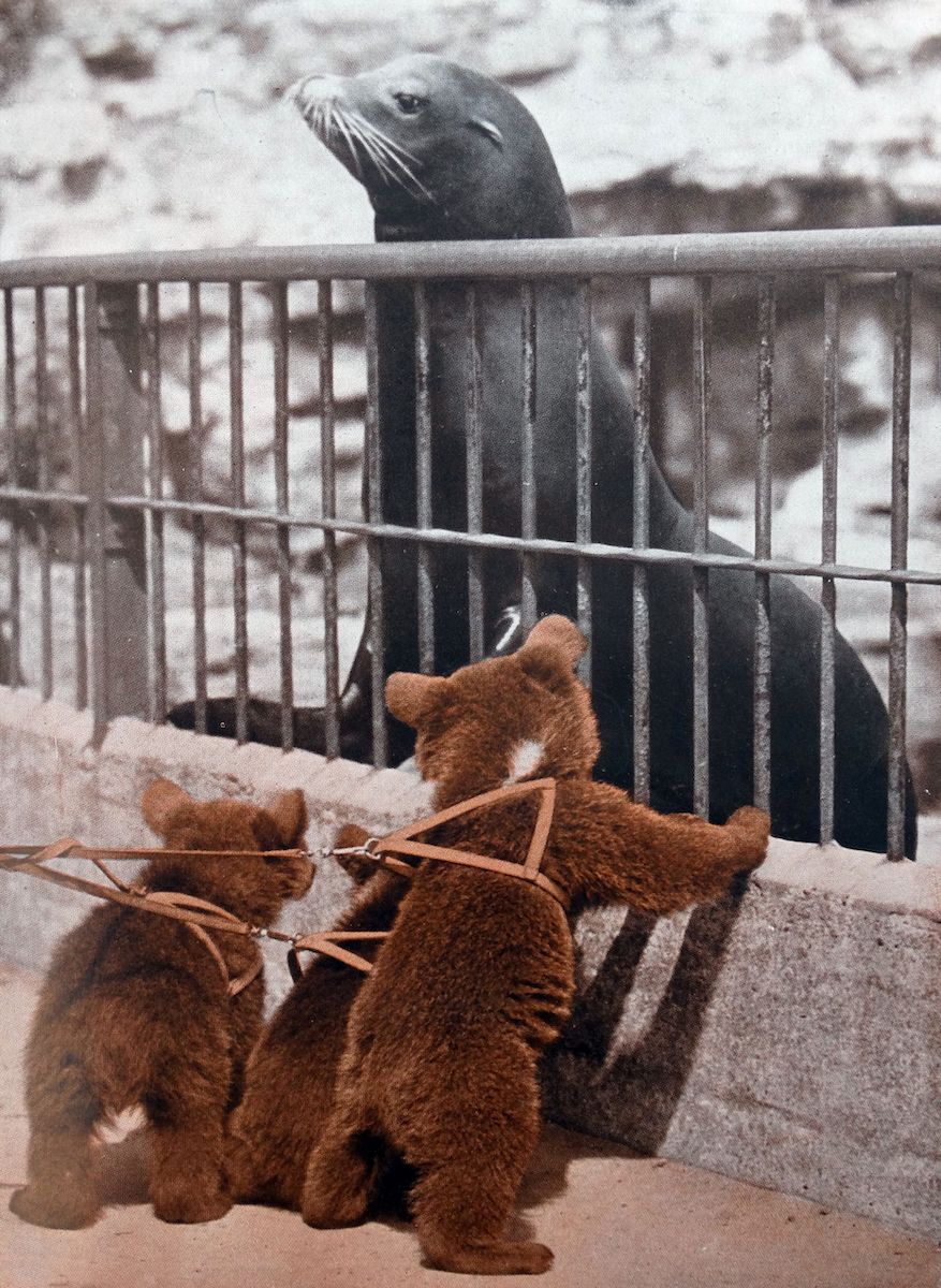 Historical pictures of old zoos from the last centuries - Espresso Mag