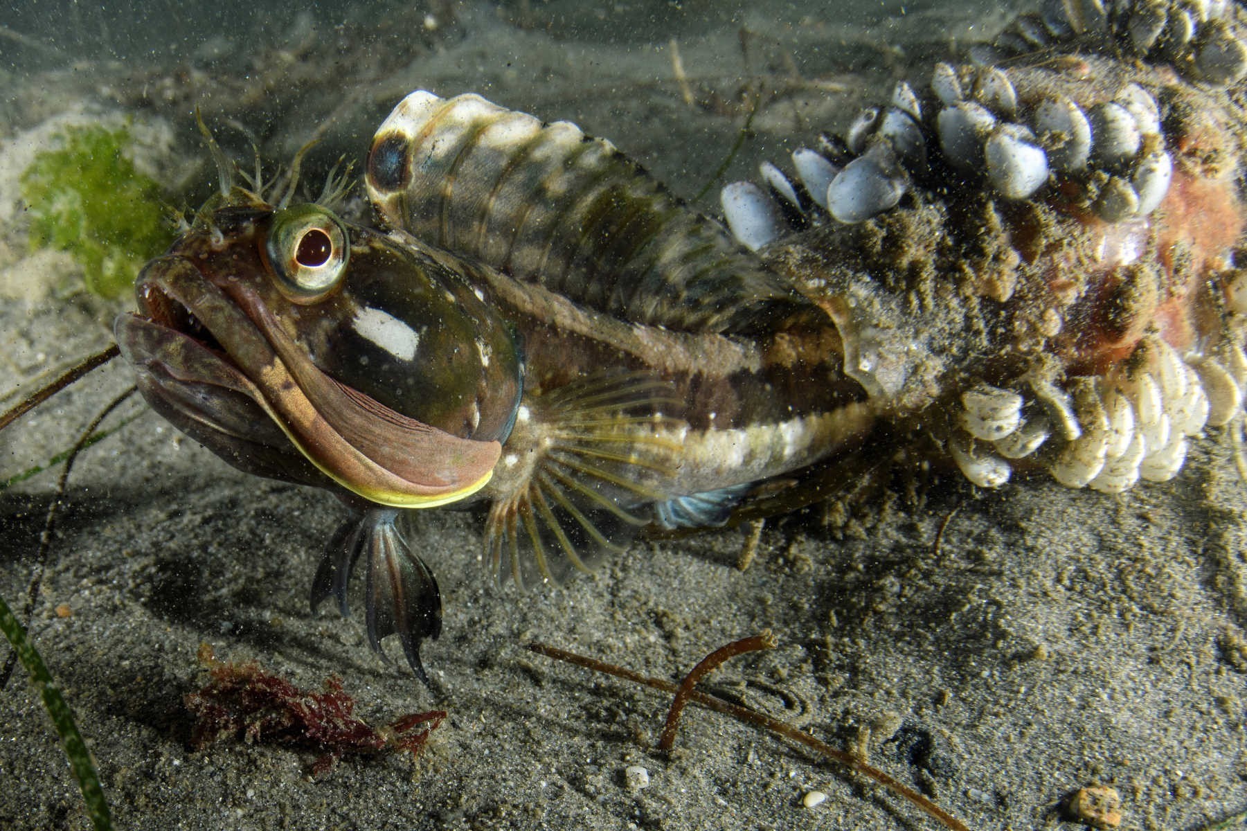 The Mysteries Of Earth s Oceans In Pictures Espresso Mag