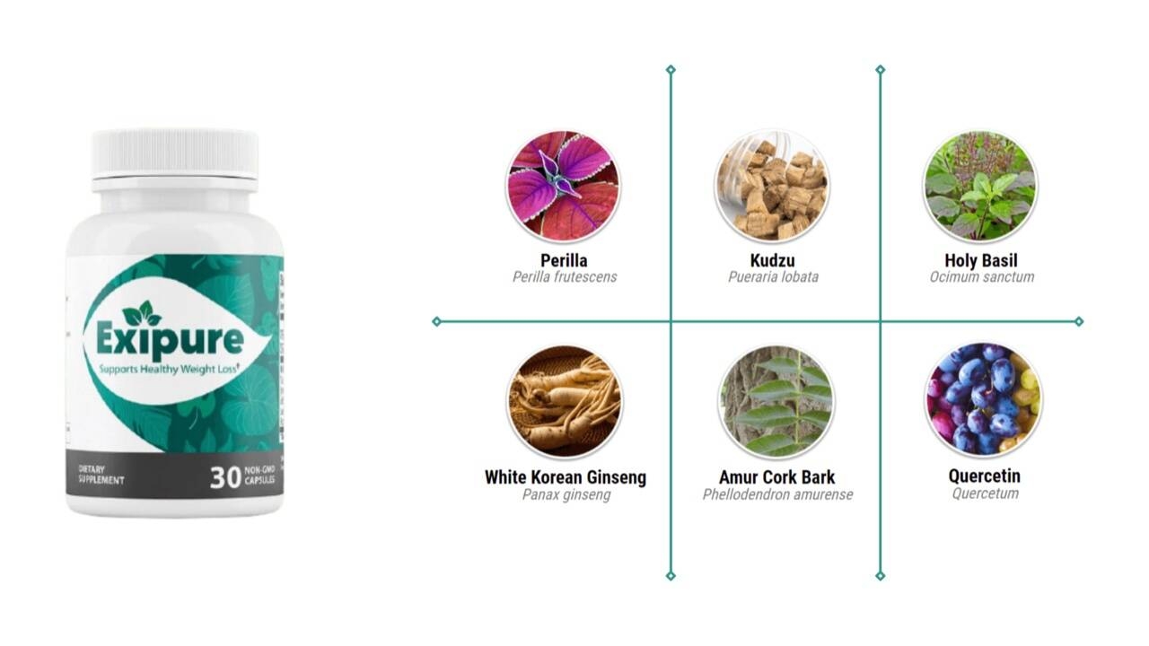 exipure negative reviews Exipure exipure weight loss journey