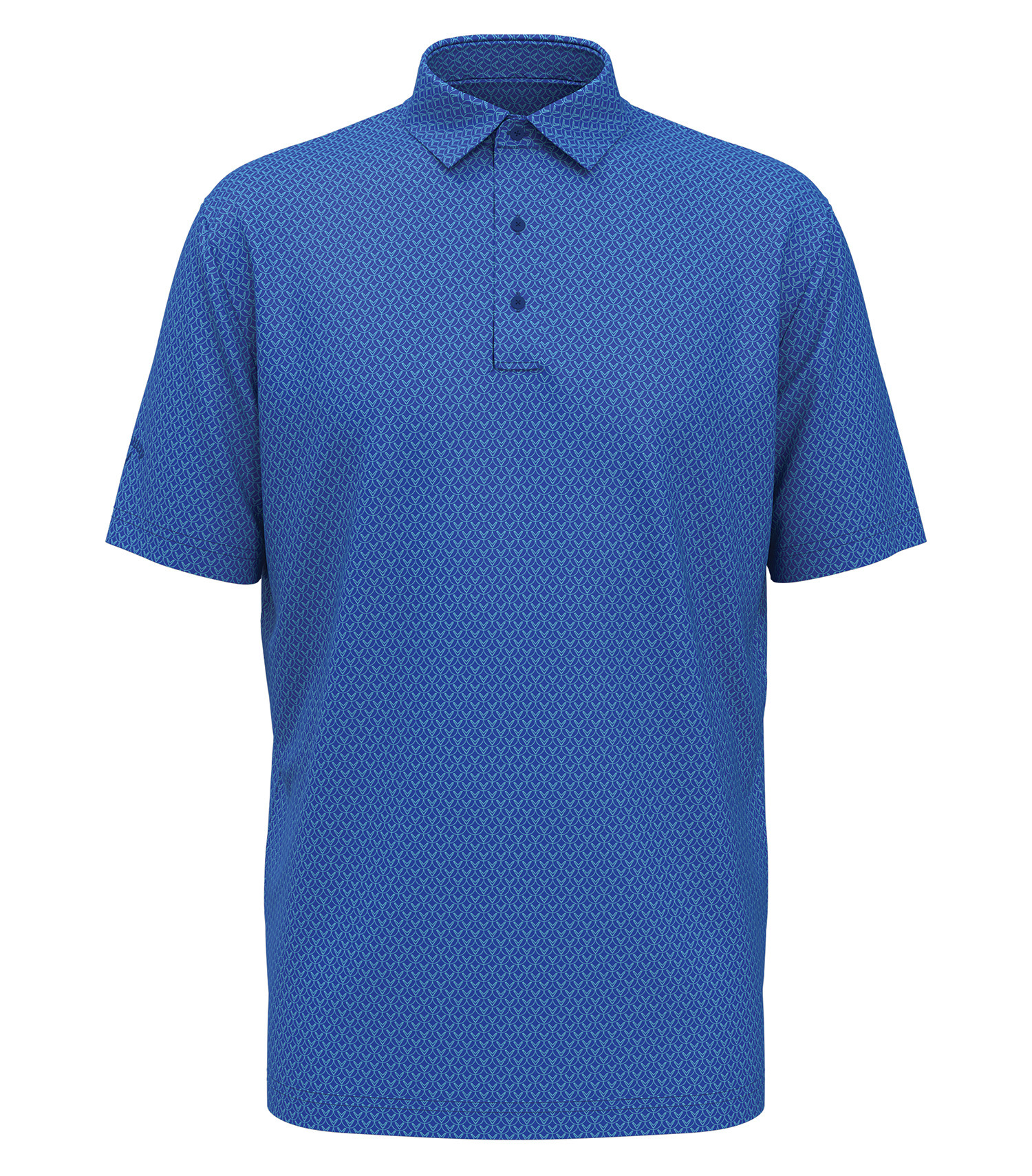 14 cgm794 form front lapis blue 2024 cil