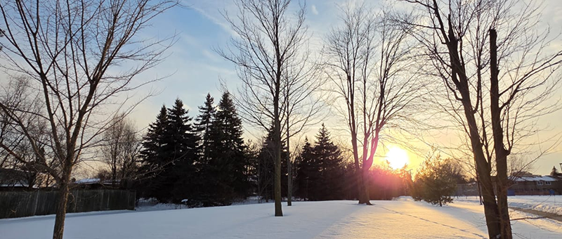 Fenix Winter Lighting