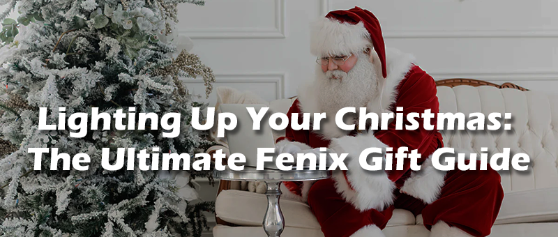 Lighting Up Your Christmas