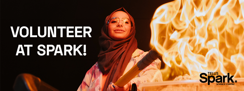 VOLUNTEER WITH SPARK