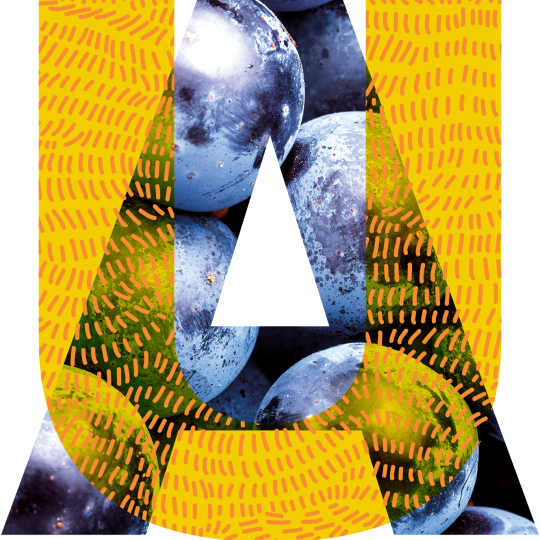 Agency Logo