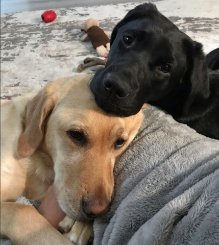 Partner Photo  (252504)