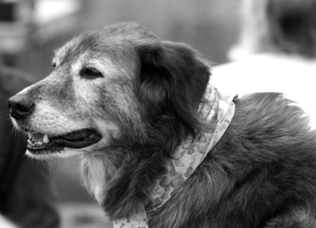 Partner Photo  (252591)