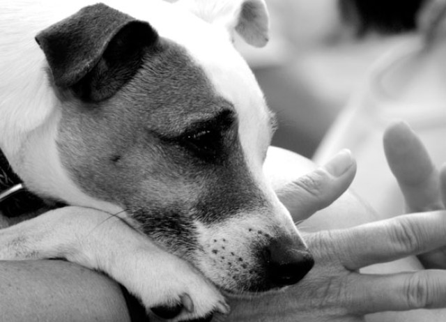 Partner Photo  (252583)