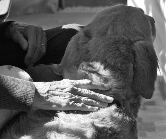 Partner Photo  (252588)