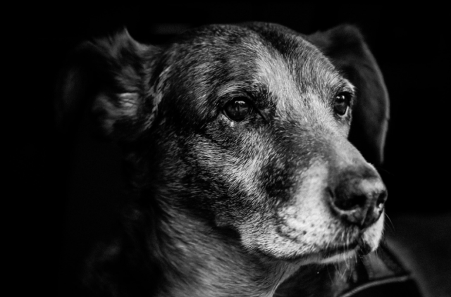 Partner Photo  (252593)