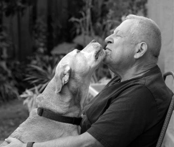 Partner Photo  (252582)