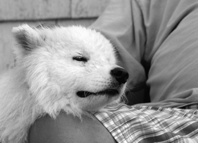 Partner Photo  (252584)