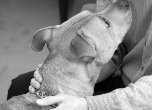 Partner Photo  (252589)