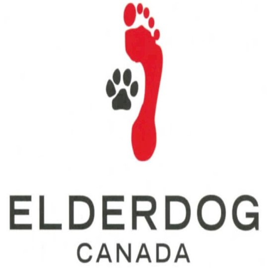 Logo de l'Agency