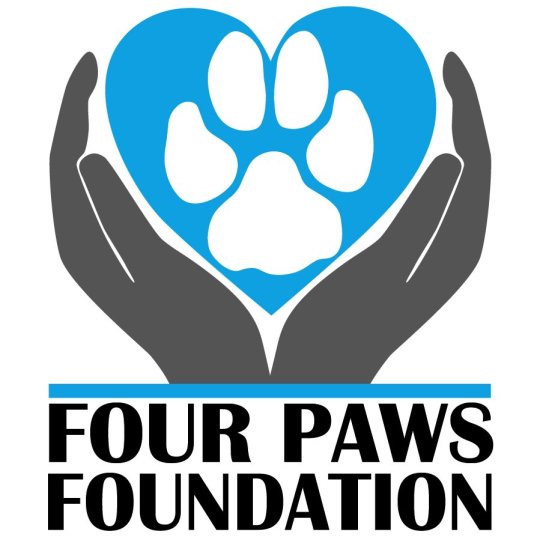 Partner Logo