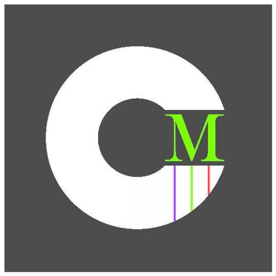 Organization Logo